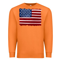 Carrot american flag Premium Sweatshirt - Artiststas