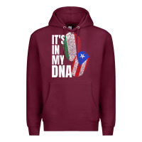 Burgundy Italian And Puerto Rican DNA Mix Flag Heritage Gift Premium Hoodie - minhPixels
