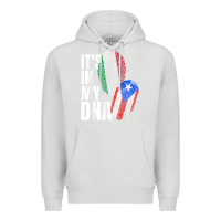 Dove Grey Italian And Puerto Rican DNA Mix Flag Heritage Gift Premium Hoodie - minhPixels