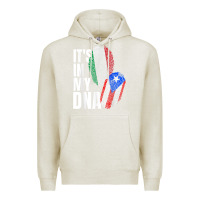 Oatmeal Heather Italian And Puerto Rican DNA Mix Flag Heritage Gift Premium Hoodie - minhPixels