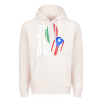 Pale Pink Italian And Puerto Rican DNA Mix Flag Heritage Gift Premium Hoodie - minhPixels