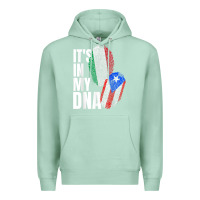 Seafoam Italian And Puerto Rican DNA Mix Flag Heritage Gift Premium Hoodie - minhPixels