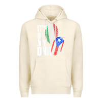Tofu Italian And Puerto Rican DNA Mix Flag Heritage Gift Premium Hoodie - minhPixels