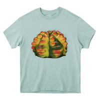 Arona Gymnocalycium Variegated Cactus Heavy Core Tee - LillyAllenDesigns