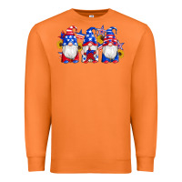 Carrot american flag gnomes sunflowers star Premium Sweatshirt - Artiststas