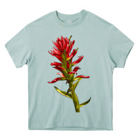 Arona Indian Paintbrush Heavy Core Tee - LillyAllenDesigns