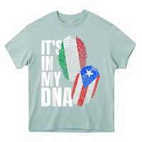 Arona Italian And Puerto Rican DNA Mix Flag Heritage Gift Heavy Core Tee - minhPixels