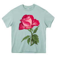 Arona Love At First Sight Rose Heavy Core Tee - LillyAllenDesigns