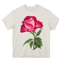 Cream Love At First Sight Rose Heavy Core Tee - LillyAllenDesigns