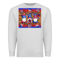 Dove Grey american flag gnomes star leopard glitter tumbler Premium Sweatshirt - Artiststas