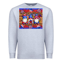 Heather Grey american flag gnomes star leopard glitter tumbler Premium Sweatshirt - Artiststas