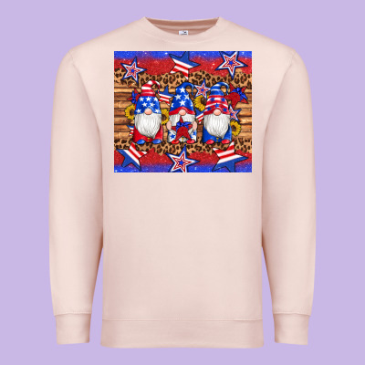 American Flag Gnomes Star Leopard Glitter Tumbler Premium Sweatshirt Designed By Artiststas