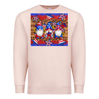 Pale Pink american flag gnomes star leopard glitter tumbler Premium Sweatshirt - Artiststas