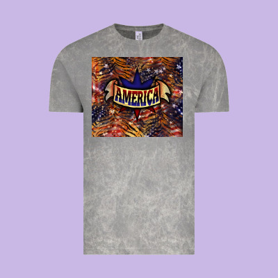 Tiger America Tumbler 4th Of July Vintage Tee Designed By Howdyjamesfarm