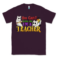 Plum You Can't Scare Me I'm a Teacher Classic Tee - texasbilliewilder