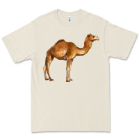 Bone camel Premium Tee - BarkalooDesign