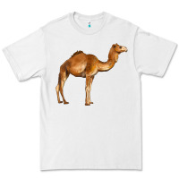 White camel Premium Tee - BarkalooDesign