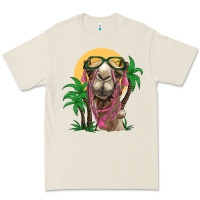 Bone camel with oasis Premium Tee - BarkalooDesign