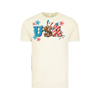 Vintage Arctic USA 4th of july Vintage Tee - HowdyJamesFarm