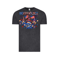 Vintage Black Independence Day with gnomies Vintage Tee - HowdyJamesFarm