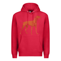 Cardinal Vizsla Dog Owner Funny Gift I Love My Vizsla Dog Vizsla Premium Hoodie - minhPixels