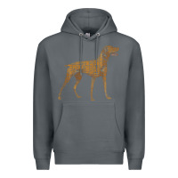 Rock Vizsla Dog Owner Funny Gift I Love My Vizsla Dog Vizsla Premium Hoodie - minhPixels