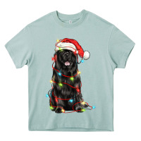 Arona christmas newfoundland dog Heavy Core Tee - LillyAllenDesigns