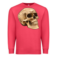Cardinal skull Premium Sweatshirt - Artiststas