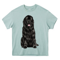 Newfoundland Dog Heavy Core Tee | Teevron