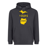 Smoke Up Yours State Of Ohio Funny Anti Oh Pro Michigan Meme Heavyweight Hoodie - minhPixels