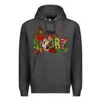 Charcoal Heather True Story Holy Family Premium Hoodie - FaDigitalArtStudio