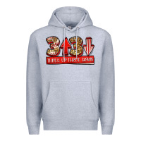Heather Grey three up three down baseball Premium Hoodie - Jasminsmagicworld