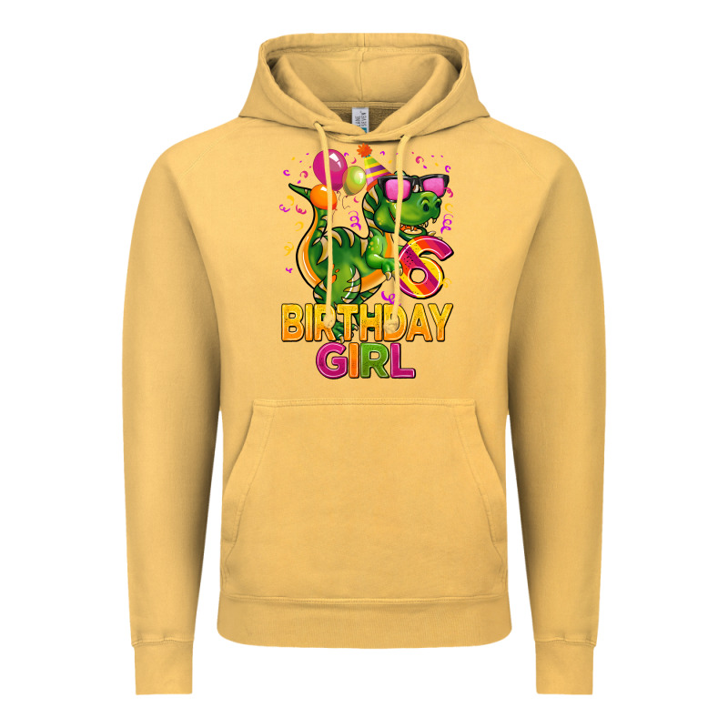 6th Birthday Girl T Rex Pink Vintage Hoodie by CowGirlArtShop | Teevron