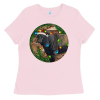 Bubblegum Pink Black Angus Bull with Christmas Lights Ladies Tee - RanaPortraitStore