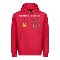 Cardinal Guitars How it Started How It's Going Guitar Players Funny Premium Hoodie - minhPixels