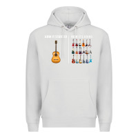 Dove Grey Guitars How it Started How It's Going Guitar Players Funny Premium Hoodie - minhPixels