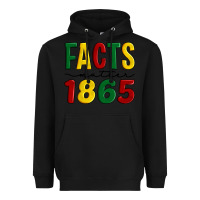 Black facts matter 1865 Heavyweight Hoodie - Artiststas