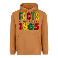 Meerkat facts matter 1865 Heavyweight Hoodie - Artiststas