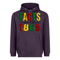 Plum facts matter 1865 Heavyweight Hoodie - Artiststas