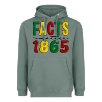 Sage facts matter 1865 Heavyweight Hoodie - Artiststas