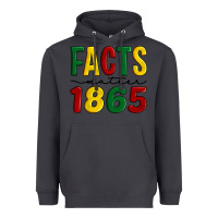 Smoke facts matter 1865 Heavyweight Hoodie - Artiststas