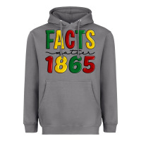 Storm facts matter 1865 Heavyweight Hoodie - Artiststas