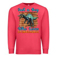 Cardinal just a boy who loves baby spinosaurus Premium Sweatshirt - Artiststas