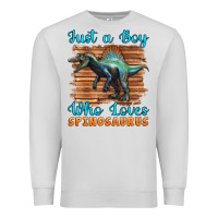 Dove Grey just a boy who loves baby spinosaurus Premium Sweatshirt - Artiststas