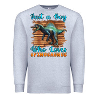 Heather Grey just a boy who loves baby spinosaurus Premium Sweatshirt - Artiststas