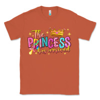 Copper the princess has arrived Classic Tee - NancyCooperArtShop