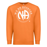 Carrot We Do Recover Narcotics Anonymous Men Women Gift Premium Sweatshirt - minhPixels