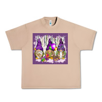 Burro Mardi Gras carnival with gnomies tumbler Urban Heavy Tee - HowdyJamesFarm