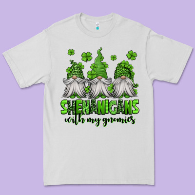 Shenanigans With My Gnomies St Patricks Day Gnomes Premium Tee Designed By Jasminsmagicworld