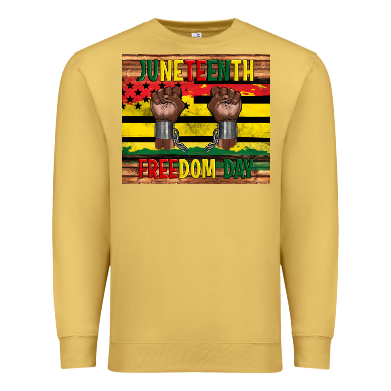 Juneteenth Freedom Day Tumbler Premium Sweatshirt by Artiststas | Teevron